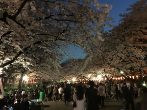 4月1日上野公園